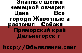 Элитные щенки немецкой овчарки › Цена ­ 30 000 - Все города Животные и растения » Собаки   . Приморский край,Дальнегорск г.